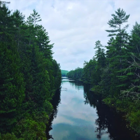 Meet your Posher, Dan - Picture 1 of 1